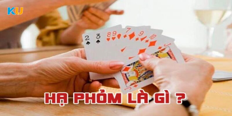 Nằm lòng toàn bộ thuật ngữ cơ bản trong game bài phỏm online 2024